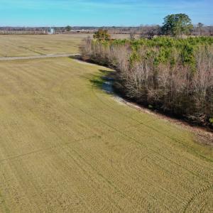 Photo #35 of SOLD property in Off Halls Creek Rd, Elizabeth City, NC 75.6 acres