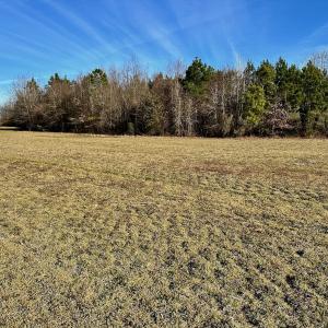 Photo #36 of SOLD property in Off Halls Creek Rd, Elizabeth City, NC 75.6 acres