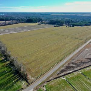 Photo #8 of SOLD property in Off Halls Creek Rd, Elizabeth City, NC 75.6 acres