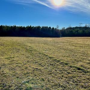 Photo #48 of SOLD property in Off Halls Creek Rd, Elizabeth City, NC 75.6 acres