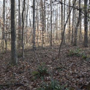 Photo #22 of SOLD property in 334 Westview Drive, Gibsonville, NC 2.9 acres