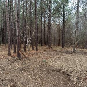 Photo #30 of SOLD property in Off Pony Farm Drive, Siler City, NC 8.1 acres