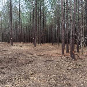 Photo #31 of SOLD property in Off Pony Farm Drive, Siler City, NC 8.1 acres