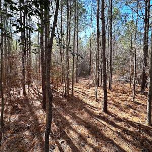 Photo #34 of SOLD property in Off Black Creek Rd, Sedley, VA 36.0 acres