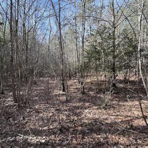 Photo #30 of SOLD property in Off Black Creek Rd, Sedley, VA 37.0 acres
