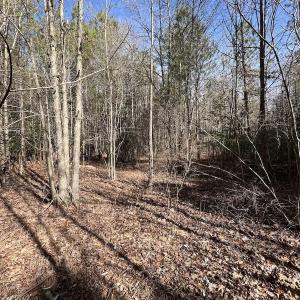 Photo #31 of SOLD property in Off Black Creek Rd, Sedley, VA 37.0 acres