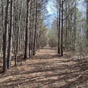 Photo #32 of SOLD property in Off Black Creek Rd, Sedley, VA 37.0 acres