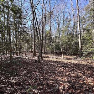 Photo #11 of SOLD property in Off Tuckers Road, Shacklefords, VA 25.5 acres