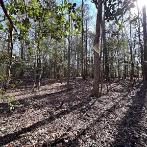 Photo #14 of SOLD property in Off Tuckers Road, Shacklefords, VA 25.5 acres