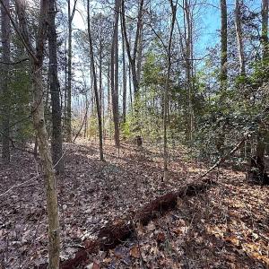 Photo #27 of SOLD property in Off Tuckers Road, Shacklefords, VA 25.5 acres