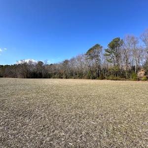 Photo #34 of SOLD property in Off Tuckers Road, Shacklefords, VA 25.5 acres