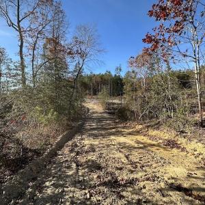 Photo #11 of SOLD property in Off The Trail, King and Queen, VA 148.0 acres