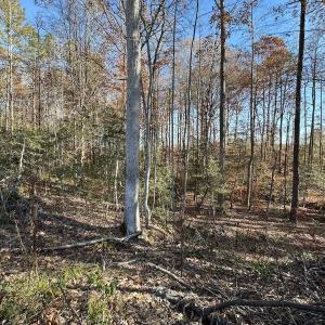 Photo #18 of SOLD property in Off The Trail, King and Queen, VA 148.0 acres