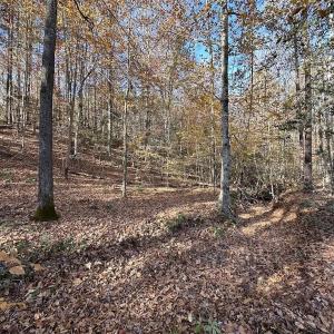 Photo #19 of SOLD property in Off The Trail, King and Queen, VA 148.0 acres