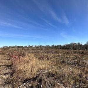 Photo #32 of SOLD property in Off The Trail, King and Queen, VA 148.0 acres