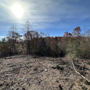 Photo #33 of SOLD property in Off The Trail, King and Queen, VA 148.0 acres