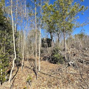 Photo #12 of SOLD property in Off Deer Ridge Rd, Spring Grove, VA 29.9 acres