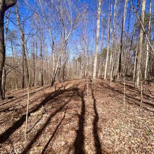 Photo #23 of Off Kemp Ford Rd, Union Hall, VA 7.1 acres