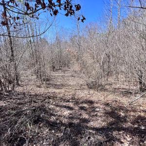 Photo #15 of SOLD property in 05 Beamon Hunt Rd, Warrenton, NC 23.7 acres