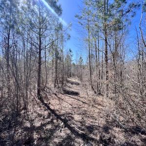 Photo #10 of SOLD property in 05 Beamon Hunt Rd, Warrenton, NC 23.7 acres