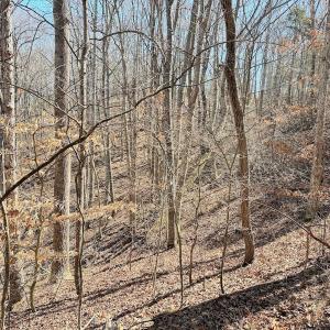 Photo #18 of 1620 Tower Road, Christiansburg, VA 1.0 acres