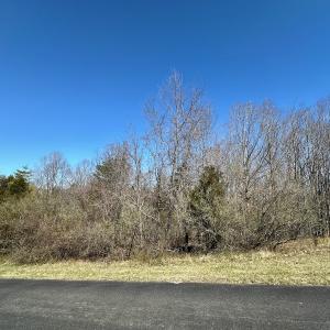 Photo #3 of 1620 Tower Road, Christiansburg, VA 1.0 acres