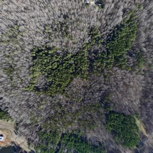 Photo #7 of SOLD property in 1296 Moriah Rd, Rougemont, NC 71.8 acres