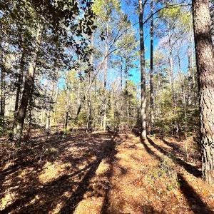 Photo #13 of SOLD property in Off Spring Farm Rd, Dendron, VA 20.0 acres