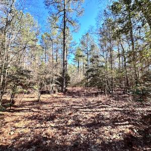 Photo #14 of SOLD property in Off Spring Farm Rd, Dendron, VA 20.0 acres