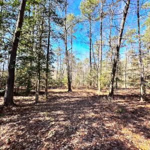 Photo #15 of SOLD property in Off Spring Farm Rd, Dendron, VA 20.0 acres