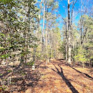 Photo #16 of SOLD property in Off Spring Farm Rd, Dendron, VA 20.0 acres