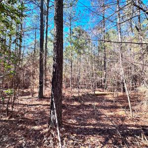 Photo #6 of SOLD property in Off Spring Farm Rd, Dendron, VA 20.0 acres