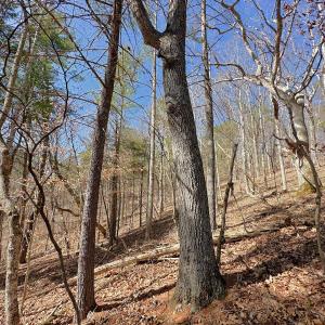 Photo #32 of Off Tower Road, Tract 2 and Pt Tract 2, Christiansburg, VA 19.7 acres