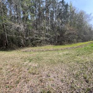 Photo #18 of SOLD property in Off Hwy 306, Grantsboro, NC 31.8 acres