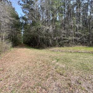 Photo #19 of SOLD property in Off Hwy 306, Grantsboro, NC 31.8 acres