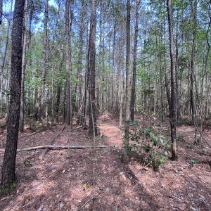 Photo #26 of SOLD property in Off Hwy 306, Grantsboro, NC 31.8 acres