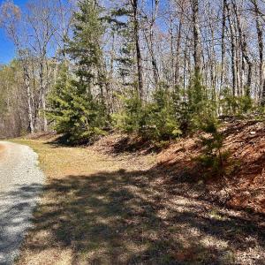 Photo #15 of Off Drawbridge Rd, Pittsville, VA 18.1 acres