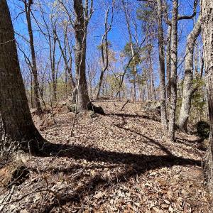 Photo #29 of Off Drawbridge Rd, Pittsville, VA 18.1 acres