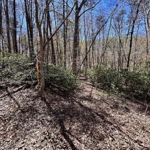 Photo #35 of Off Drawbridge Rd, Pittsville, VA 18.1 acres