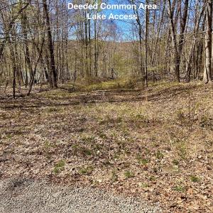 Photo #55 of Off Drawbridge Rd, Pittsville, VA 18.1 acres