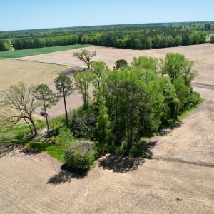 Photo #4 of SOLD property in Off Rockpile Rd, Ahoskie, NC 1.2 acres