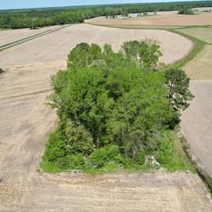 Photo #5 of SOLD property in Off Rockpile Rd, Ahoskie, NC 1.2 acres