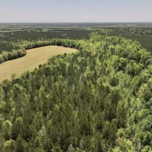 Photo #8 of Off Fire Tower Road, Jackson, NC 12.5 acres