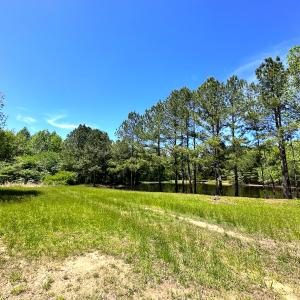 Photo #14 of SOLD property in Off Liberty Rd, Alberta, VA 57.8 acres