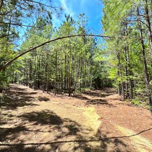 Photo #7 of SOLD property in Off Liberty Rd, Alberta, VA 57.8 acres