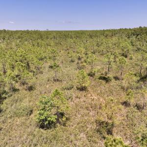 Photo #6 of SOLD property in Off George Road, Havelock, NC 10.4 acres