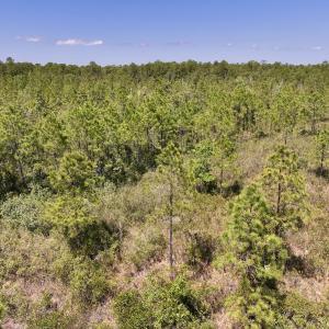 Photo #9 of SOLD property in Off George Road, Havelock, NC 10.4 acres