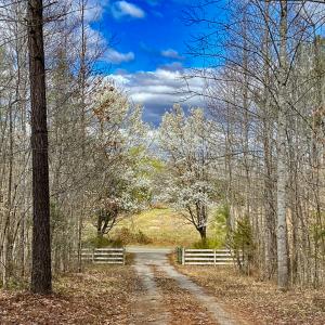 Photo #2 of SOLD property in 1094 Gardners Road, Mineral, VA 23.7 acres