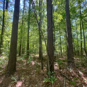 Photo #38 of SOLD property in 1094 Gardners Road, Mineral, VA 23.7 acres