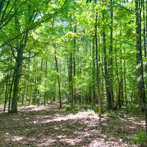 Photo #42 of SOLD property in 1094 Gardners Road, Mineral, VA 23.7 acres